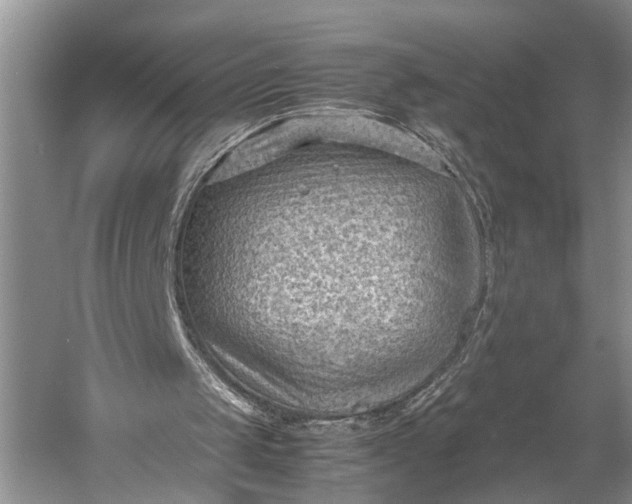 X0000060550049200511171549