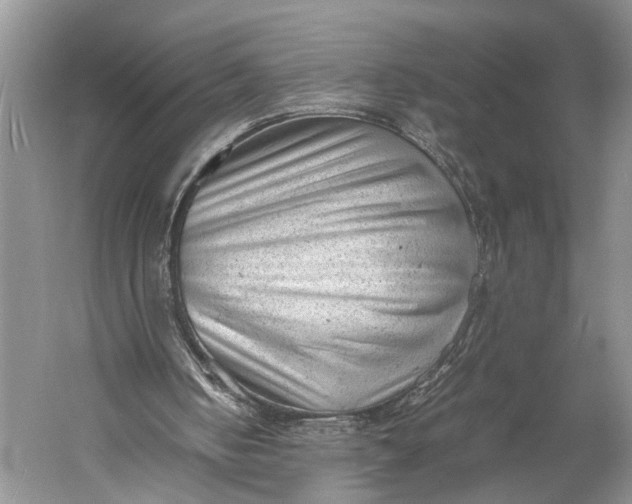 X0000060550050200511171549