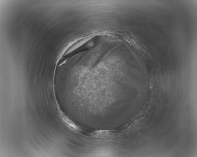 X0000060550052200511171549