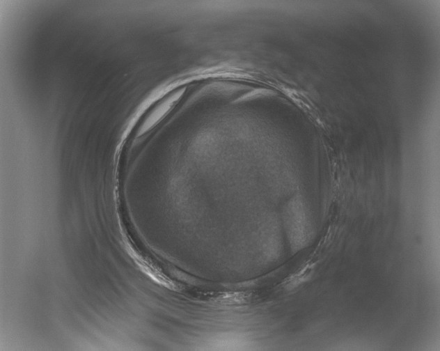 X0000060550056200511171550