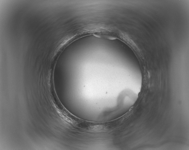 X0000060550058200511171550