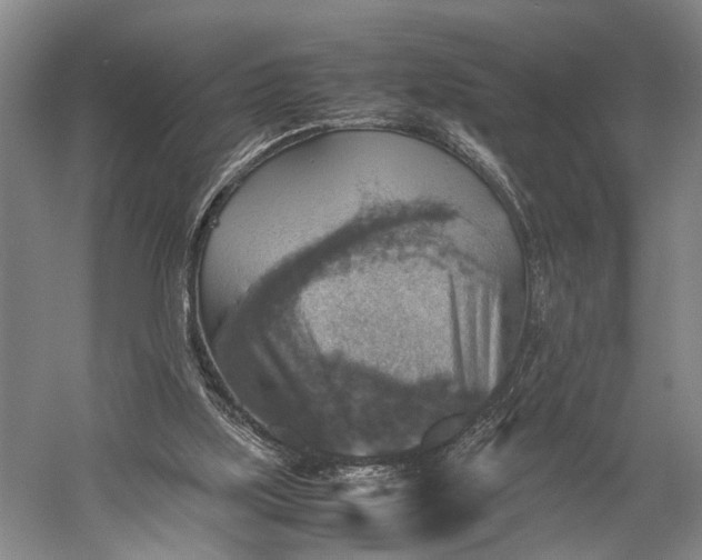 X0000060550059200511171550