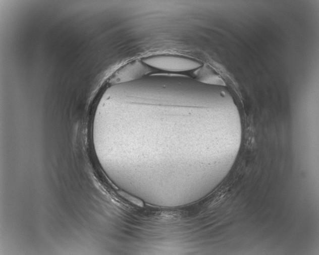 X0000060550060200511171550