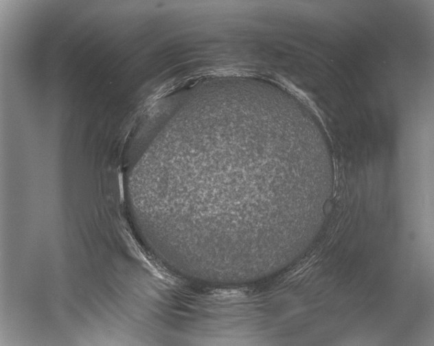 X0000060550061200511171550