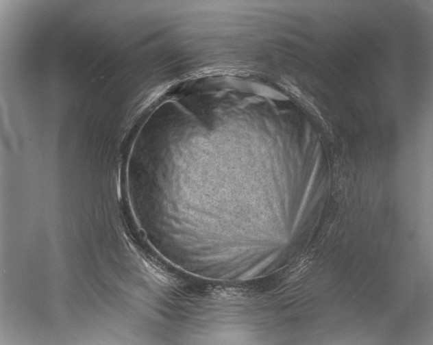 X0000060550062200511171550