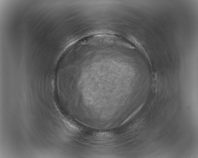 X0000060550063200511171550