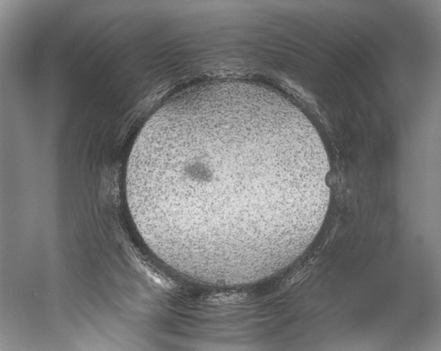 X0000060550065200511171550