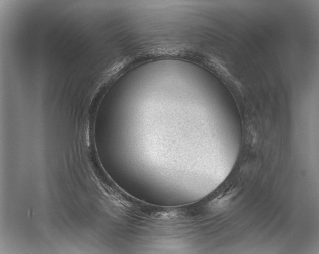 X0000060550068200511171550