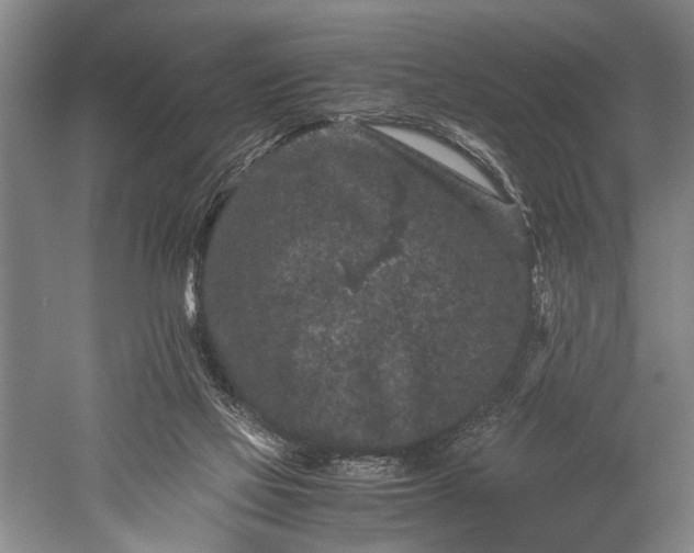 X0000060550069200511171550