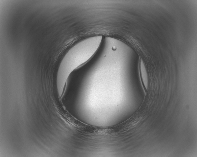 X0000060550072200511171550