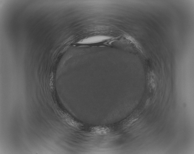 X0000060550073200511171550