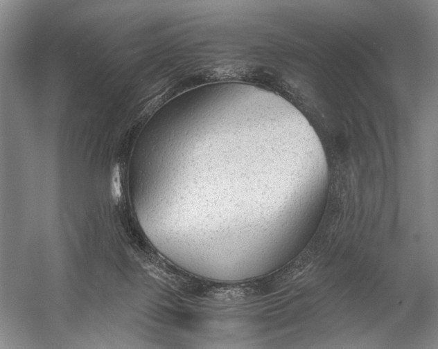 X0000060550075200511171550