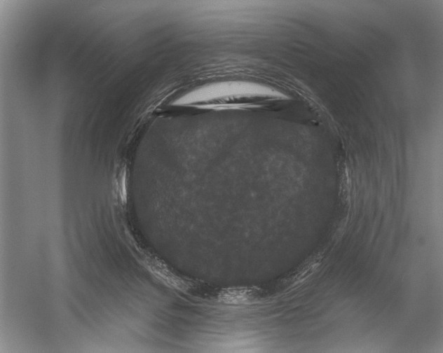 X0000060550076200511171550