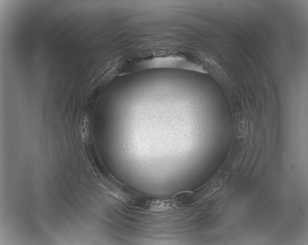 X0000060550077200511171550