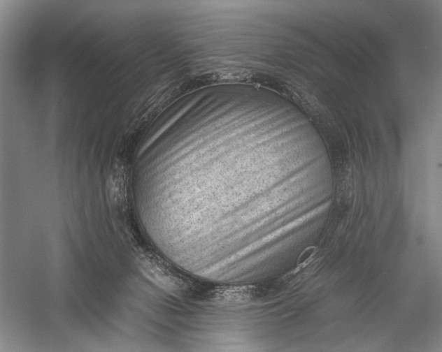 X0000060550078200511171550