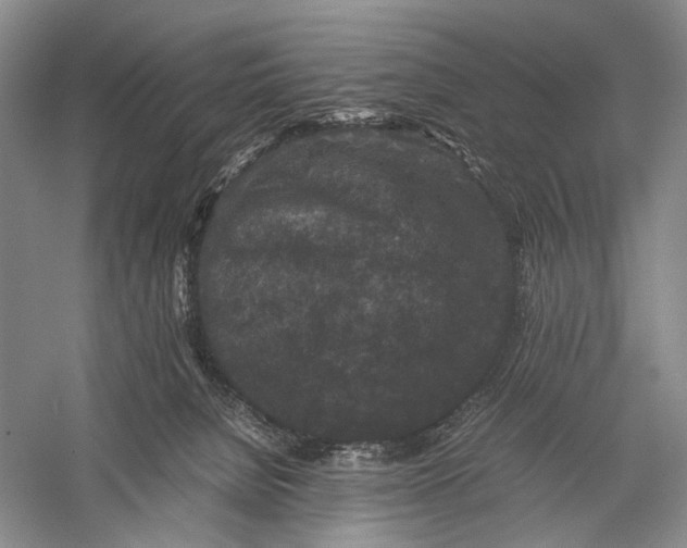 X0000060550080200511171550