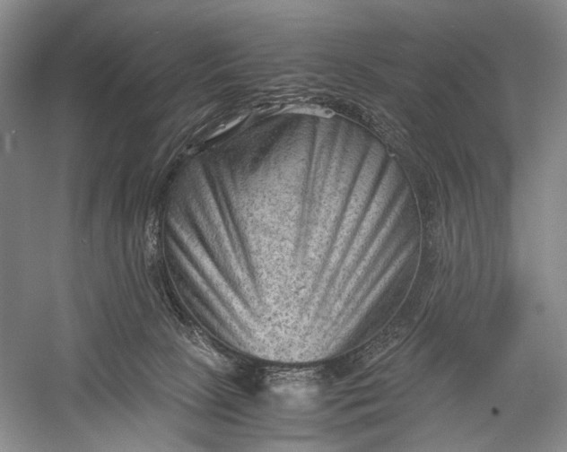 X0000060550081200511171550