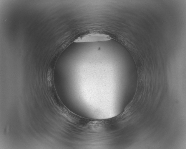 X0000060550082200511171550