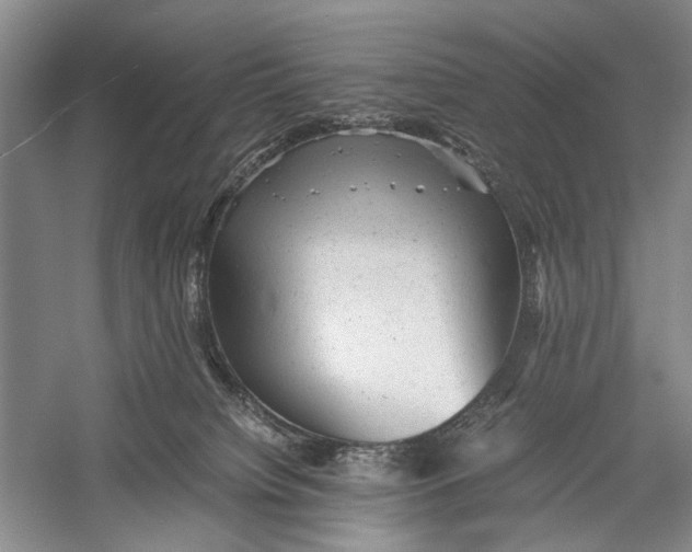 X0000060550084200511171550