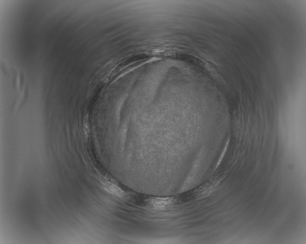 X0000060550085200511171550