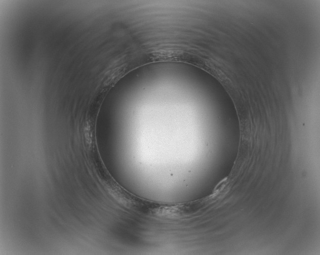 X0000060550086200511171550