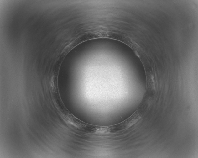 X0000060550088200511171550