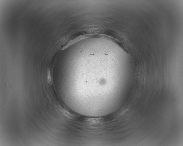 X0000060550089200511171550