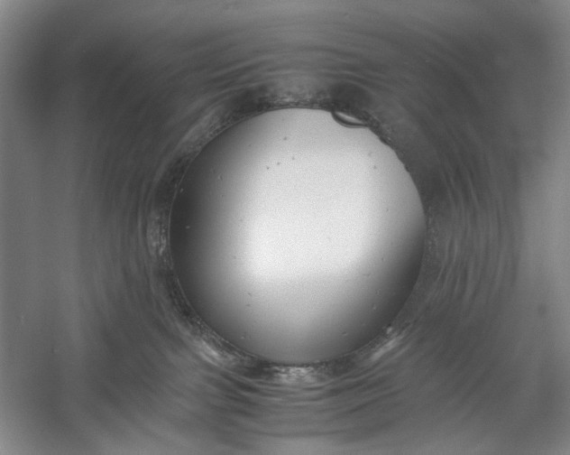 X0000060550091200511171550