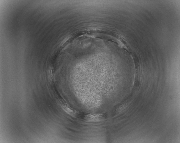 X0000060550093200511171550