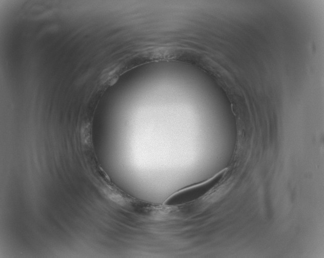 X0000060550096200511171550