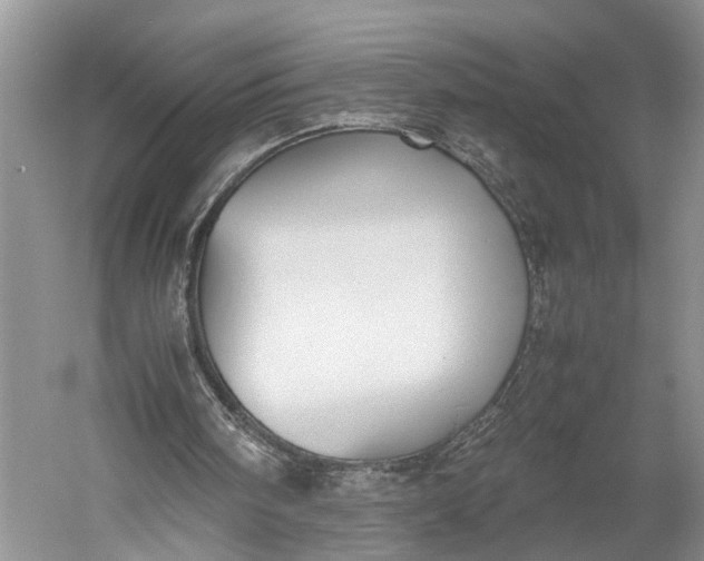 X0000060550098200511171549