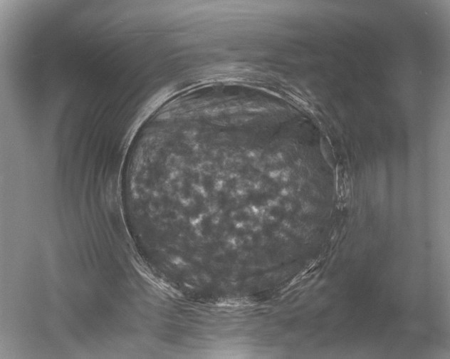 X0000060550099200511171549