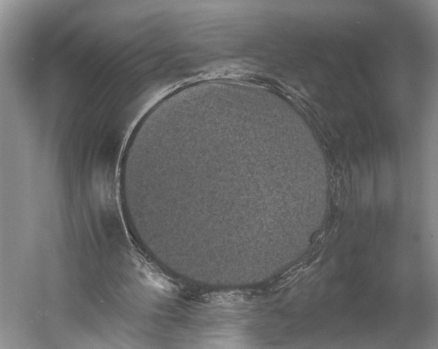 X0000060550100200511171549