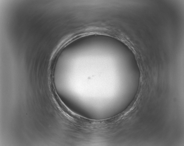 X0000060550101200511171549