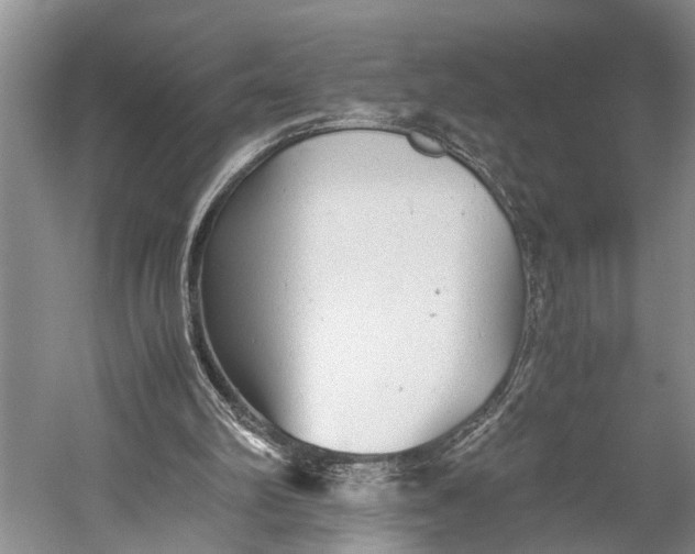 X0000060550102200511171549