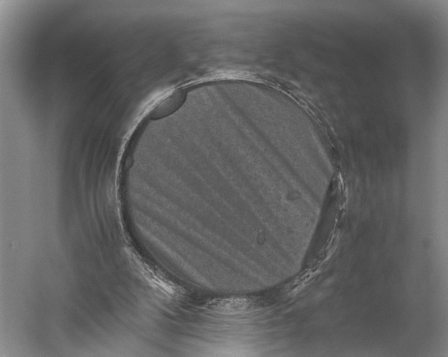 X0000060550104200511171549