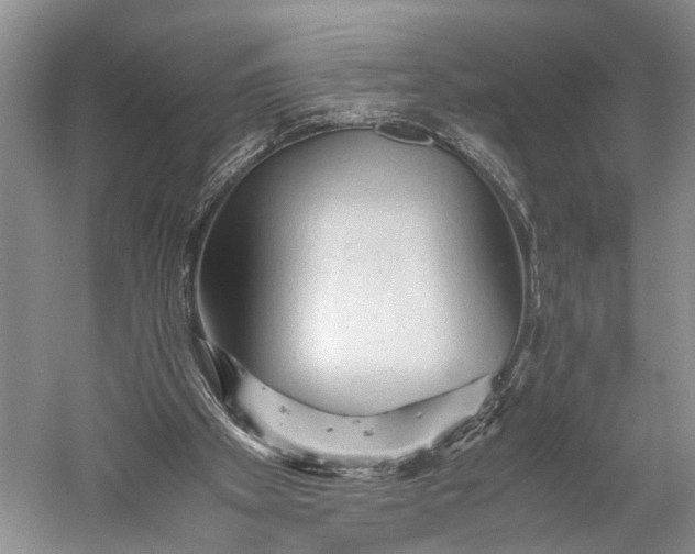 X0000060550105200511171549