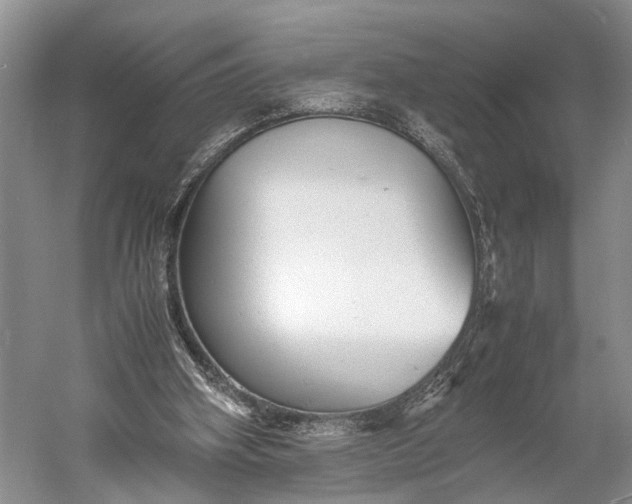 X0000060550106200511171549