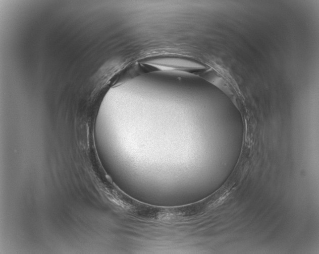 X0000060550109200511171549