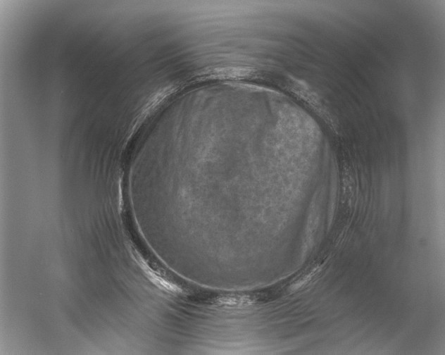 X0000060550110200511171549