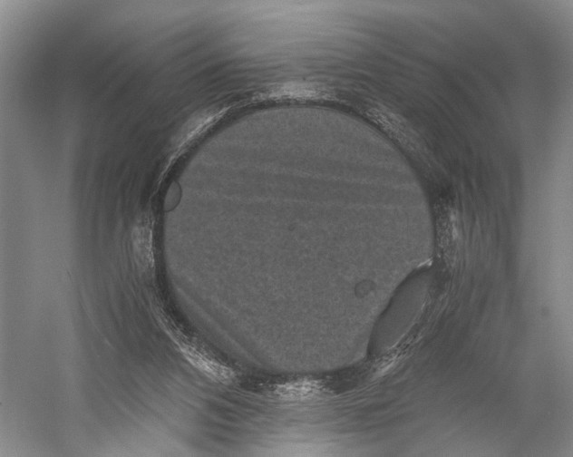 X0000060550112200511171549