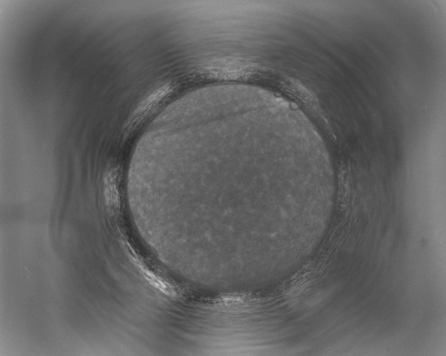 X0000060550114200511171549