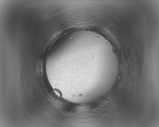 X0000060550115200511171549