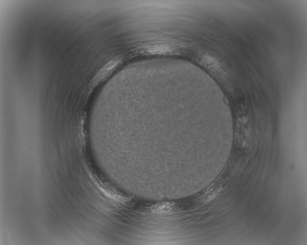 X0000060550116200511171549