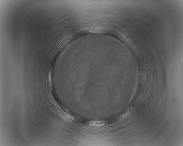 X0000060550117200511171549