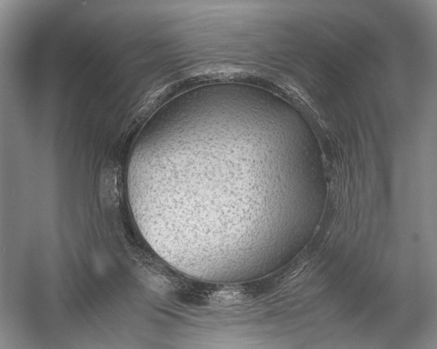 X0000060550119200511171549