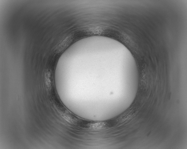 X0000060550122200511171549