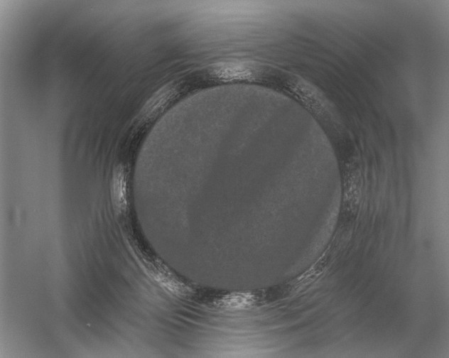 X0000060550124200511171549