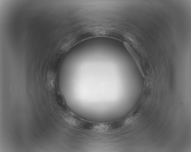 X0000060550125200511171549