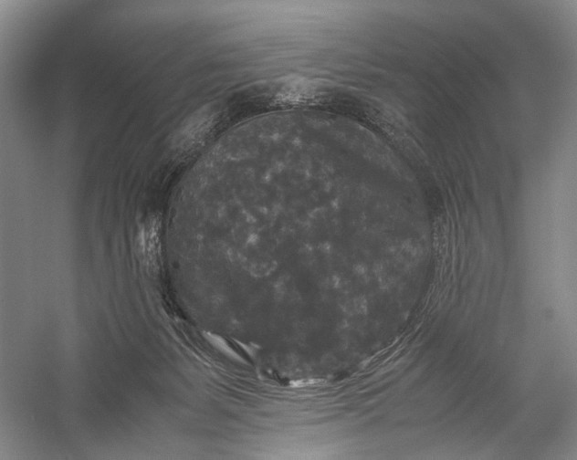 X0000060550127200511171549